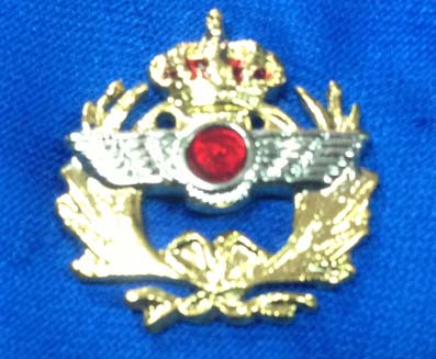 Pin escudo Aviación Ejército del Aire